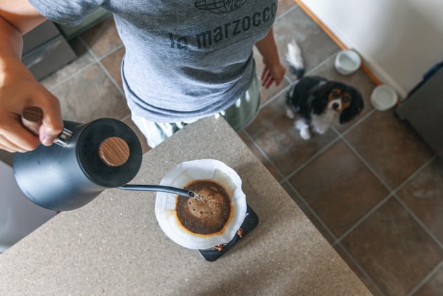How to Brew Coffee at Home: A Beginner's Guide Freshly brewed coffee at home in a ceramic mug