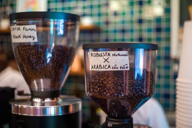 Close-up of Arabica vs Robusta coffee beans
